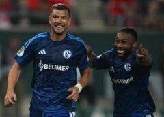 Senzacionalna predstava Edina Džeke dovela Schalke do pobjede nad Hallescherom